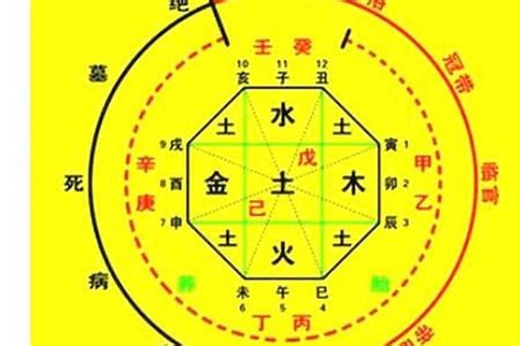 八字喜用神怎麼看|【如何看喜用神】八字入門必學！解密你的喜用神，掌握運勢先。